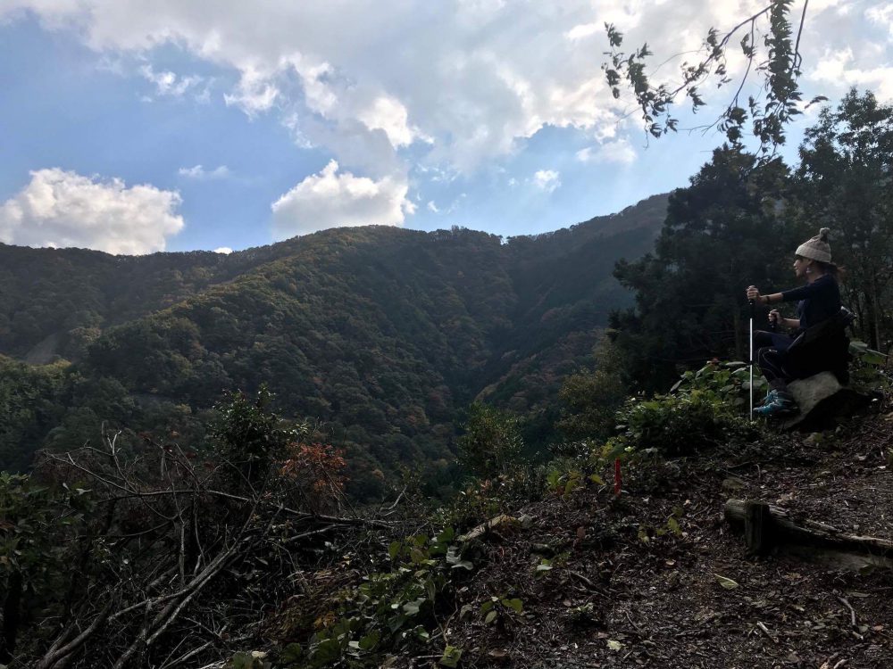 小さな秋のトレッキング – 阿讃琴南から大川山
